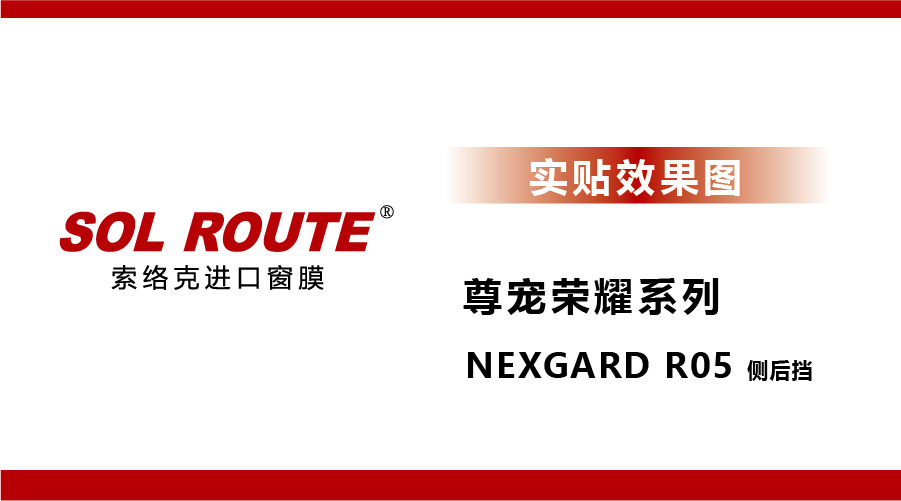 尊宠荣耀系列 NEXGARD R05 侧后挡 实贴效果图
